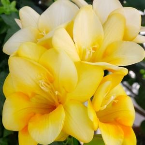 Meet your Posher, Raven.